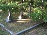 image of grave number 255136